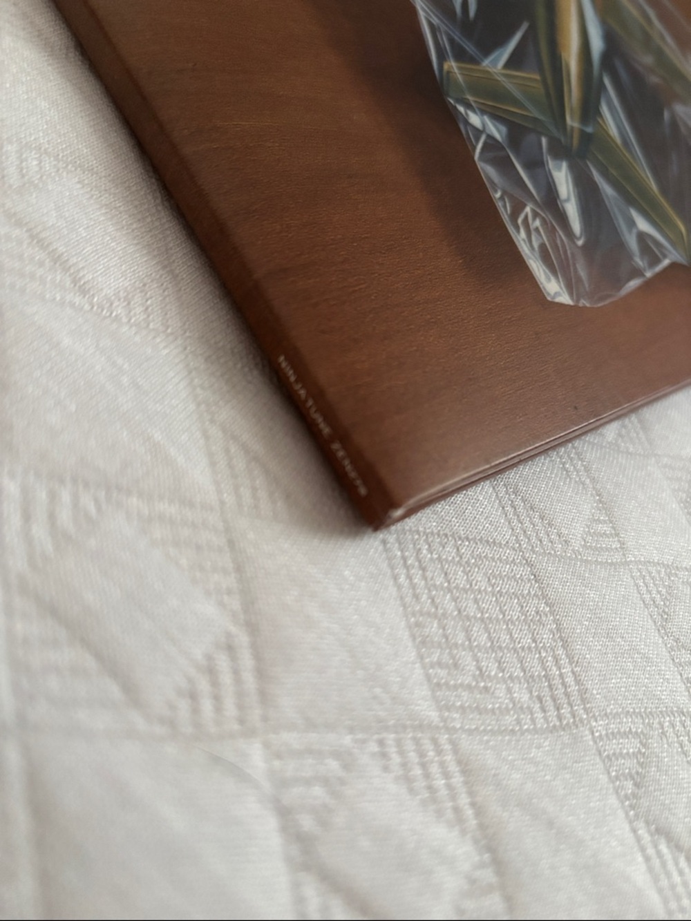 Black Country, New Road “Ants From Up There” Double Vinyl - Picture 7 of 8